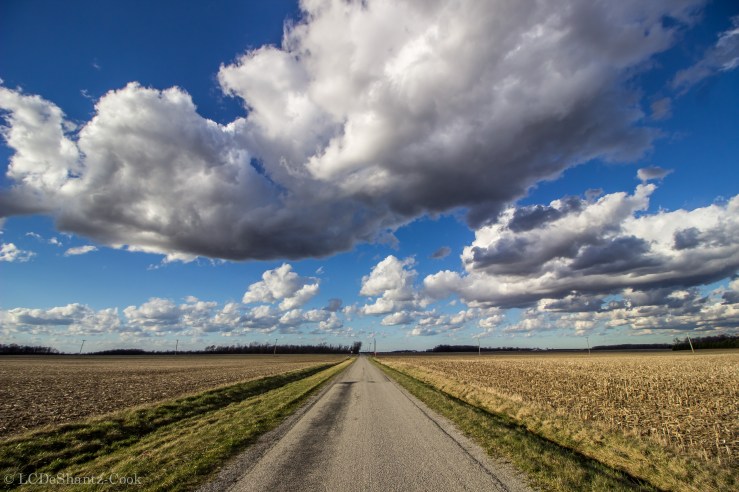 deshantzcook_20160316_IMG_3504