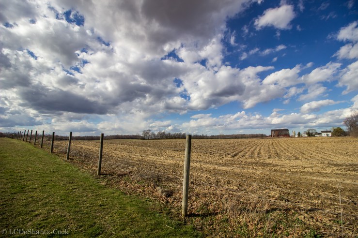 deshantzcook_20160317_IMG_3969