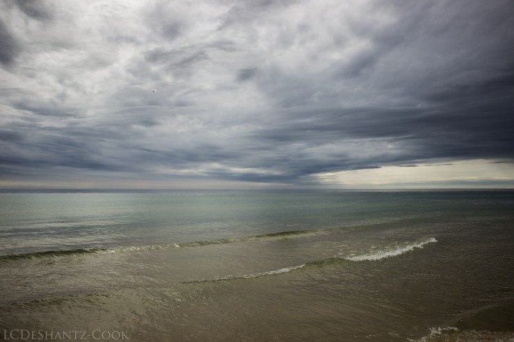 deshantzcook_20160613_IMG_7456