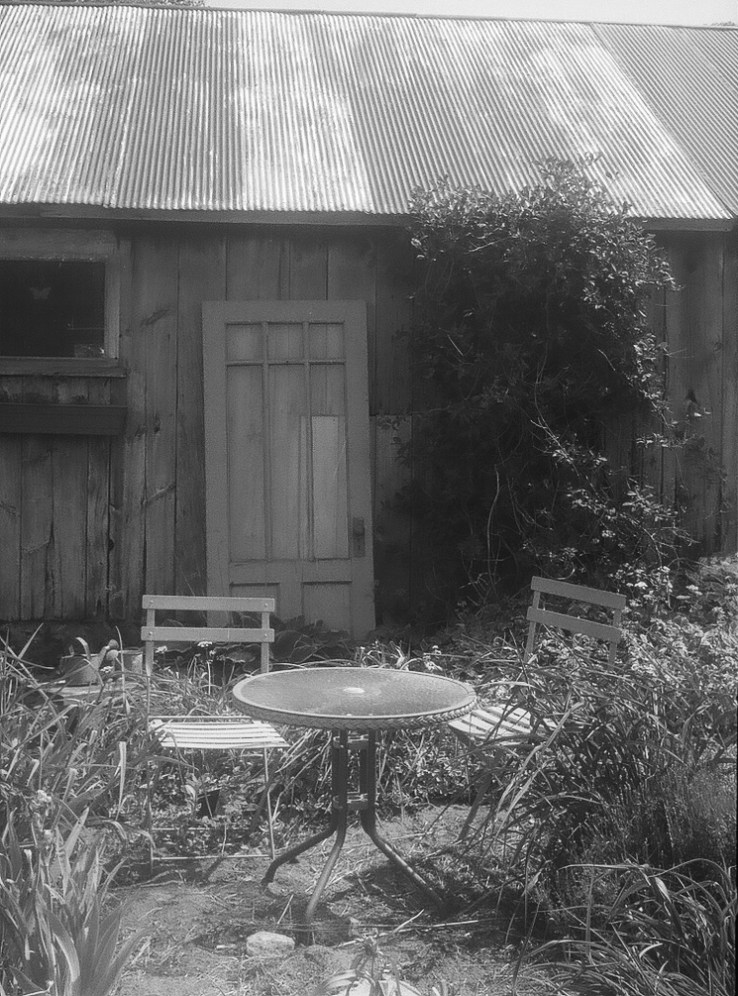 deshantzcook_20160621_43130001