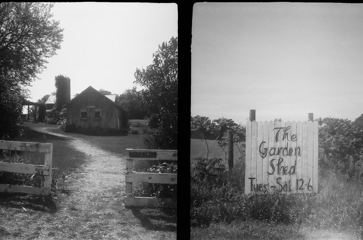 deshantzcook_20160621_43130003