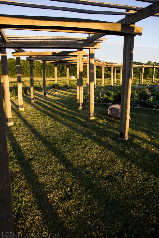 deshantzcook_20160626_IMG_8910