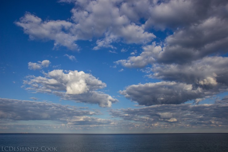 deshantzcook_20160630_IMG_8973