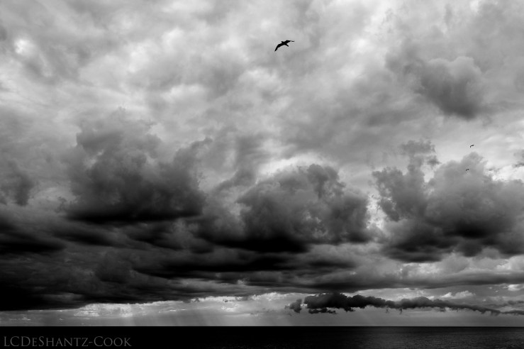 deshantzcook_20160708_IMG_9150-2