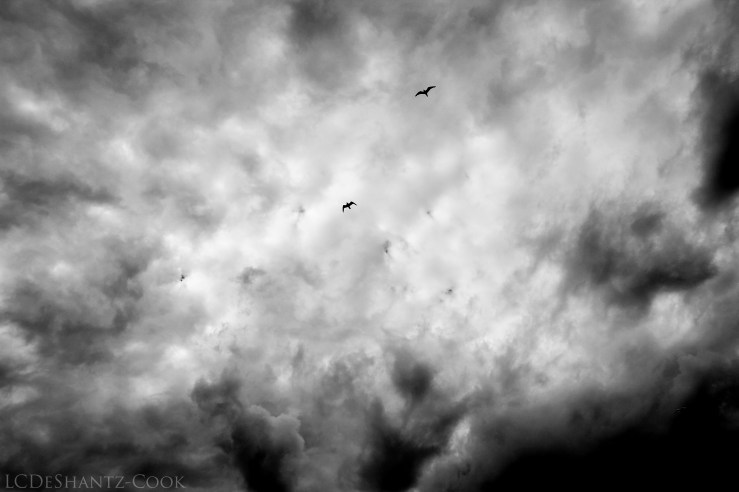 deshantzcook_20160708_IMG_9155