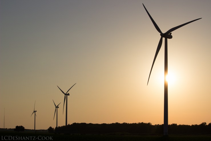 deshantzcook_20160711_IMG_9427