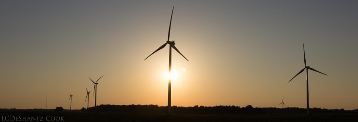 deshantzcook_20160711_IMG_9439