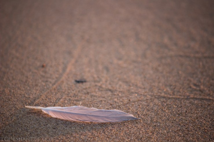 deshantzcook_20160810_IMG_9709