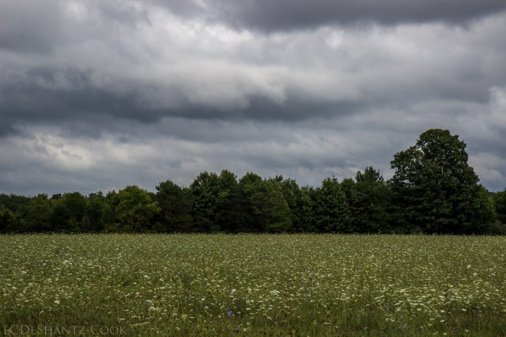 deshantzcook_20160827_IMG_0143