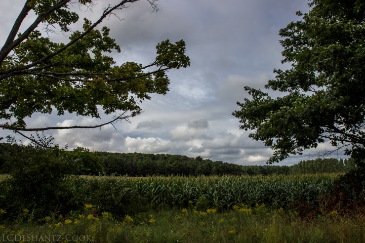 deshantzcook_20160827_IMG_0153