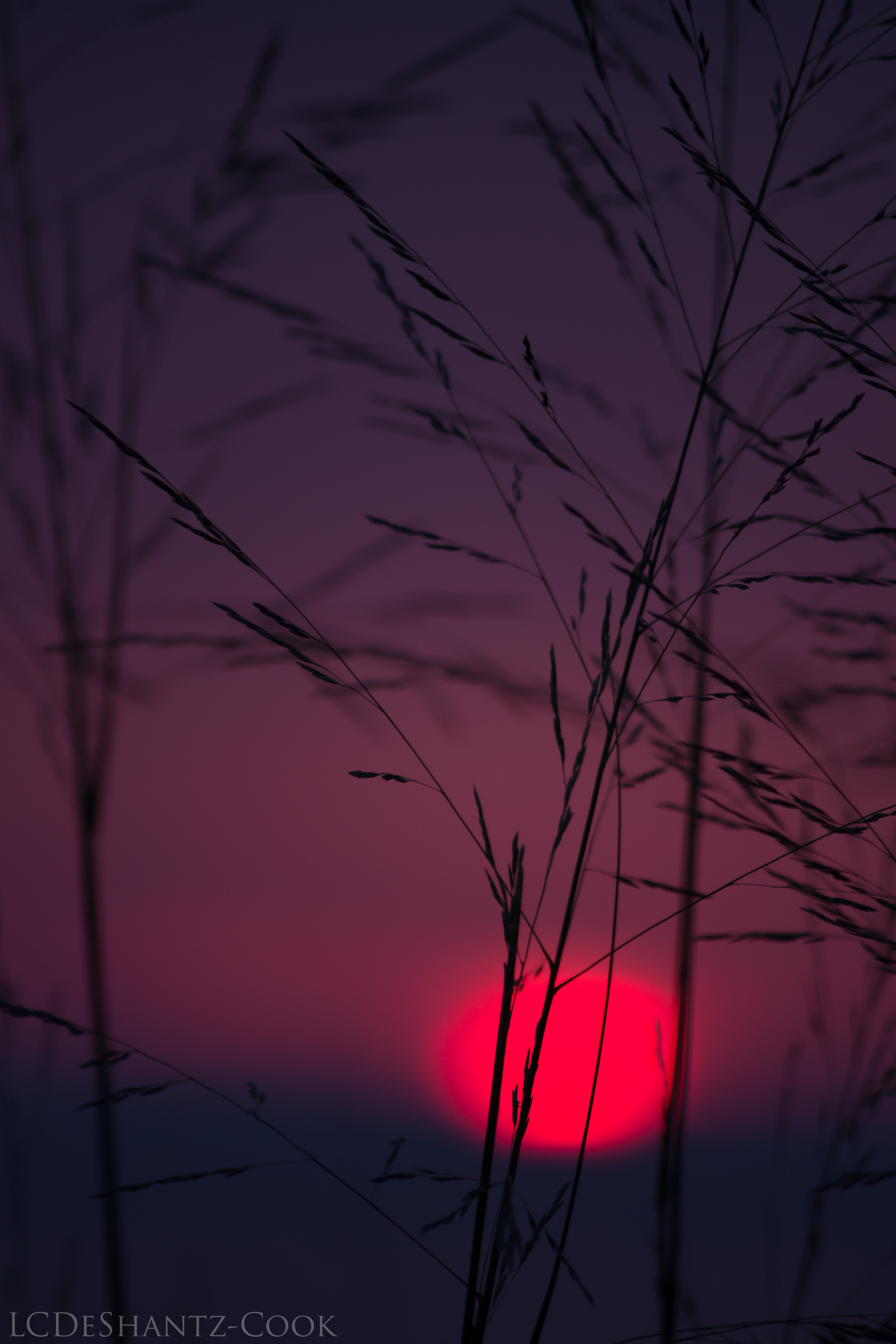 deshantzcook_20160829_IMG_0291