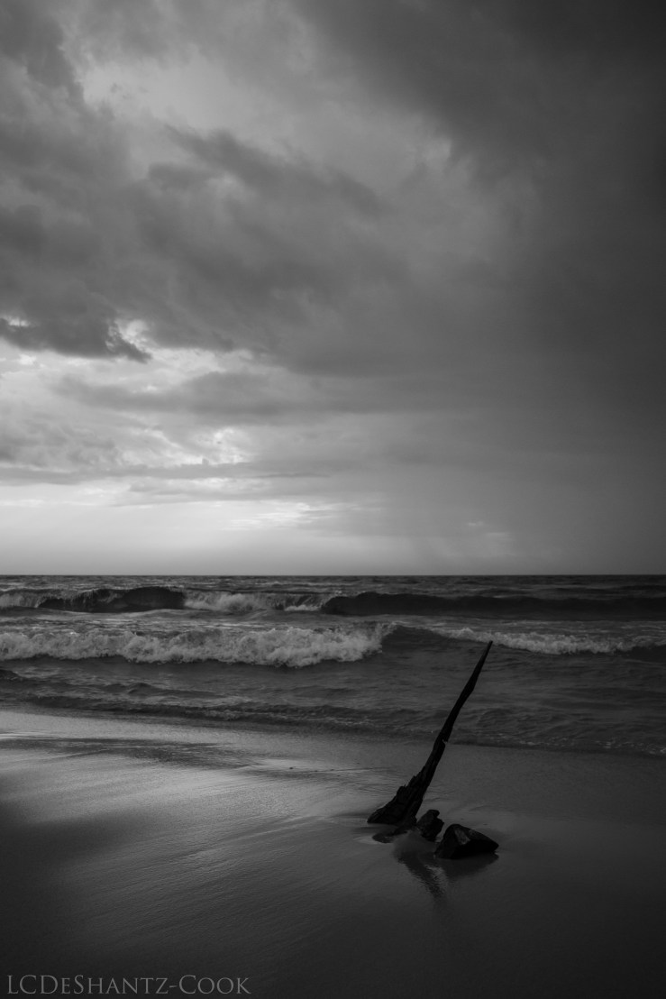 deshantzcook_20160906_img_0693