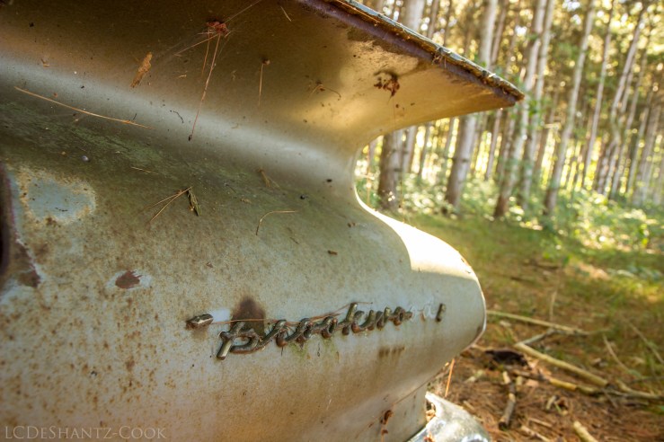 deshantzcook_20160918_IMG_1215