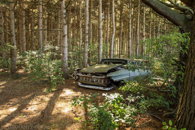 deshantzcook_20160918_IMG_1219