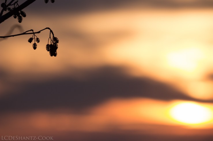 deshantzcook_20161004_img_1889