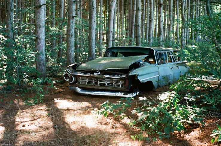 deshantzcook_20161015_61710006