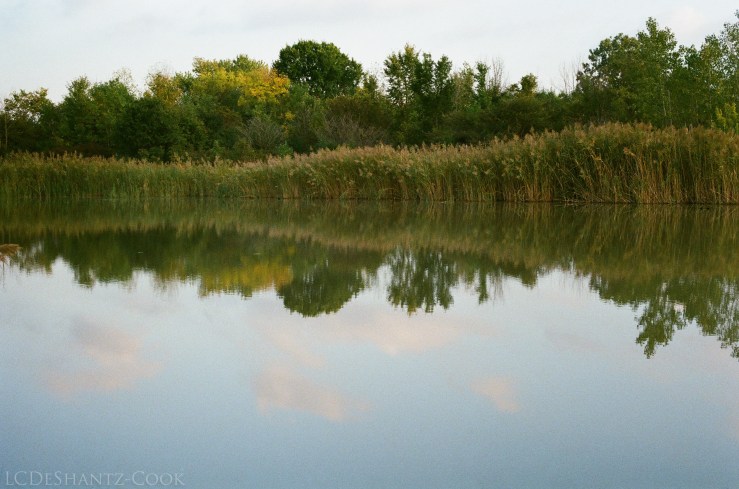 deshantzcook_20161015_61720027