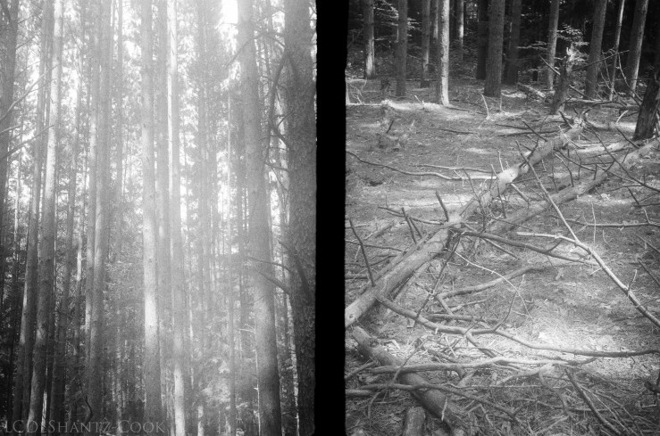 deshantzcook_20161015_62570007