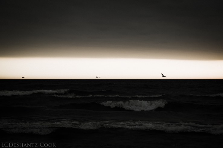 deshantzcook_20161017_img_2505