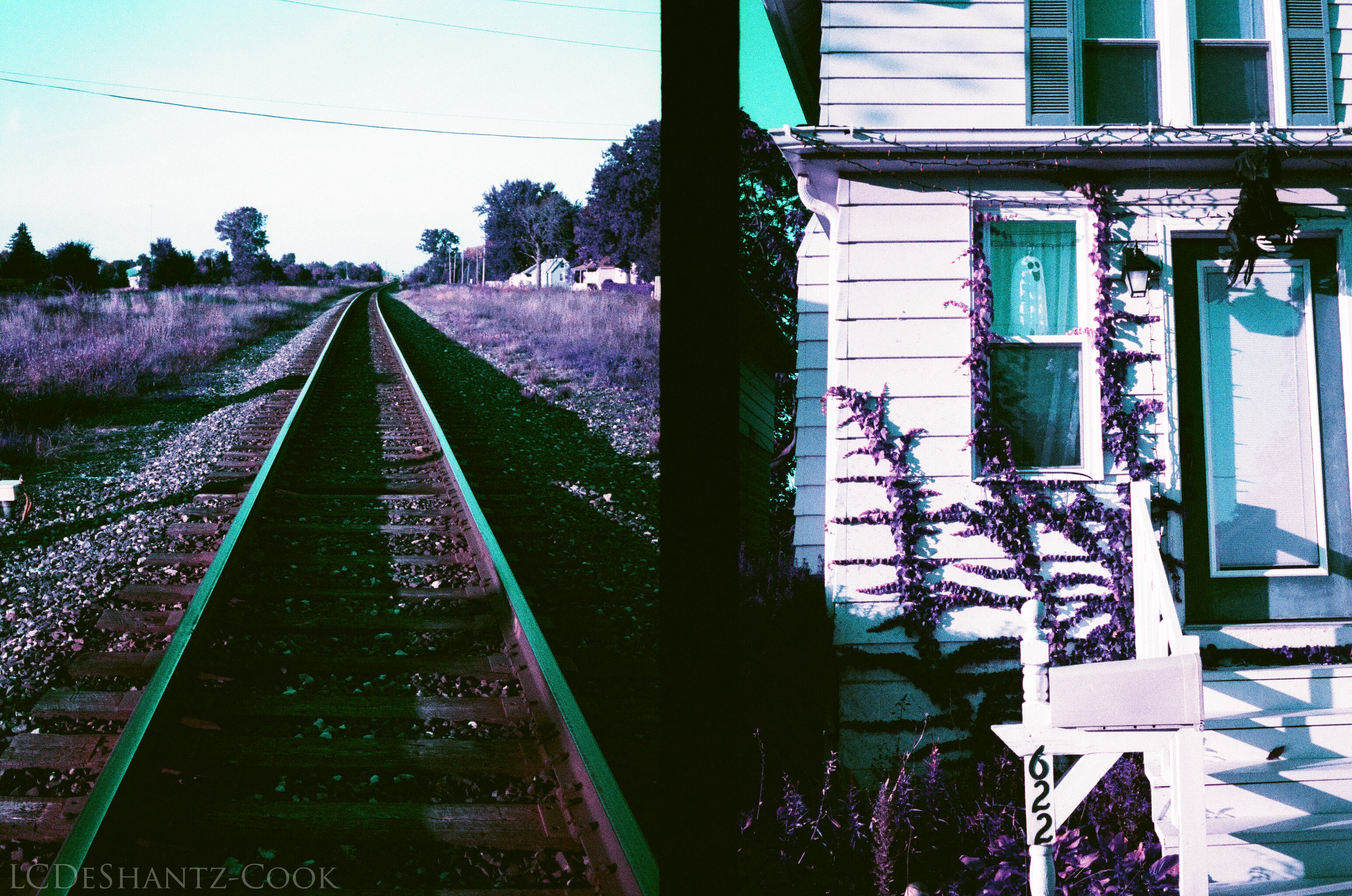 ldc_20161026_77790012ee3_lomo_purple_200