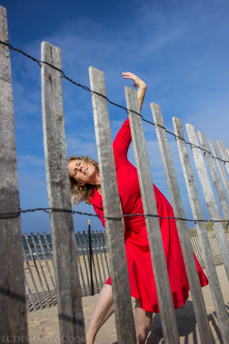 ldc_20161029_img_3156