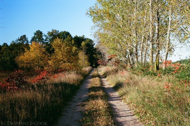 ldc_20161026_77770012srt102_kodakgc_400