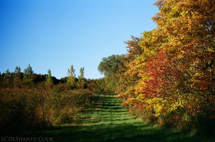 ldc_20161026_77770015srt102_kodakgc_400