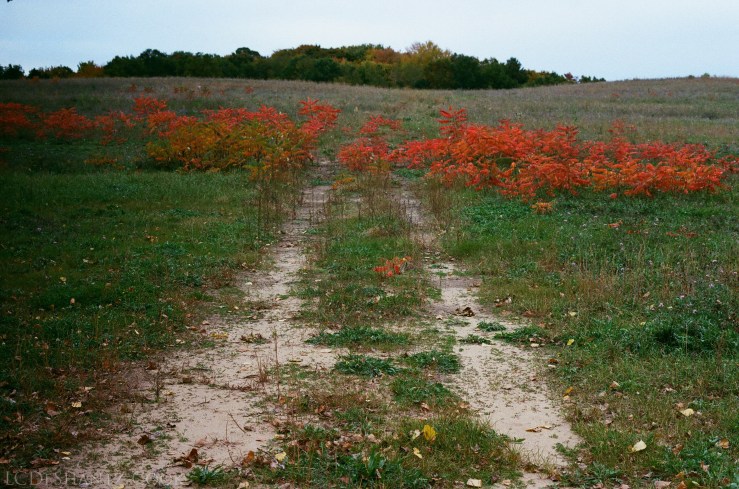 ldc_20161026_77770030srt102_kodakgc_400