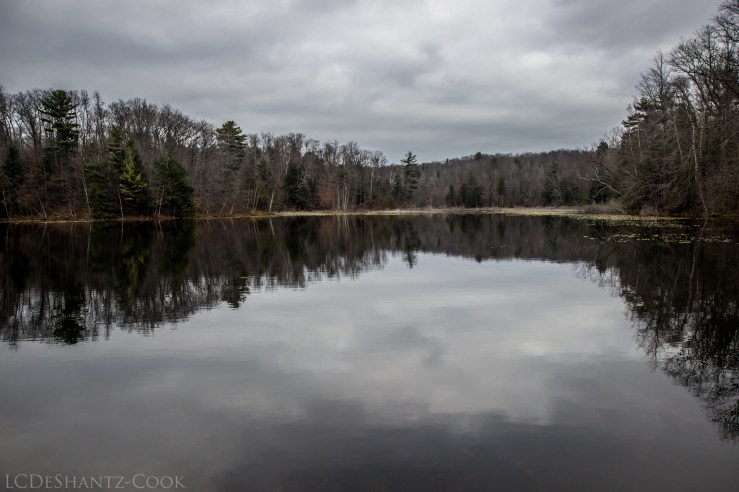 ldc_20161126_img_4397