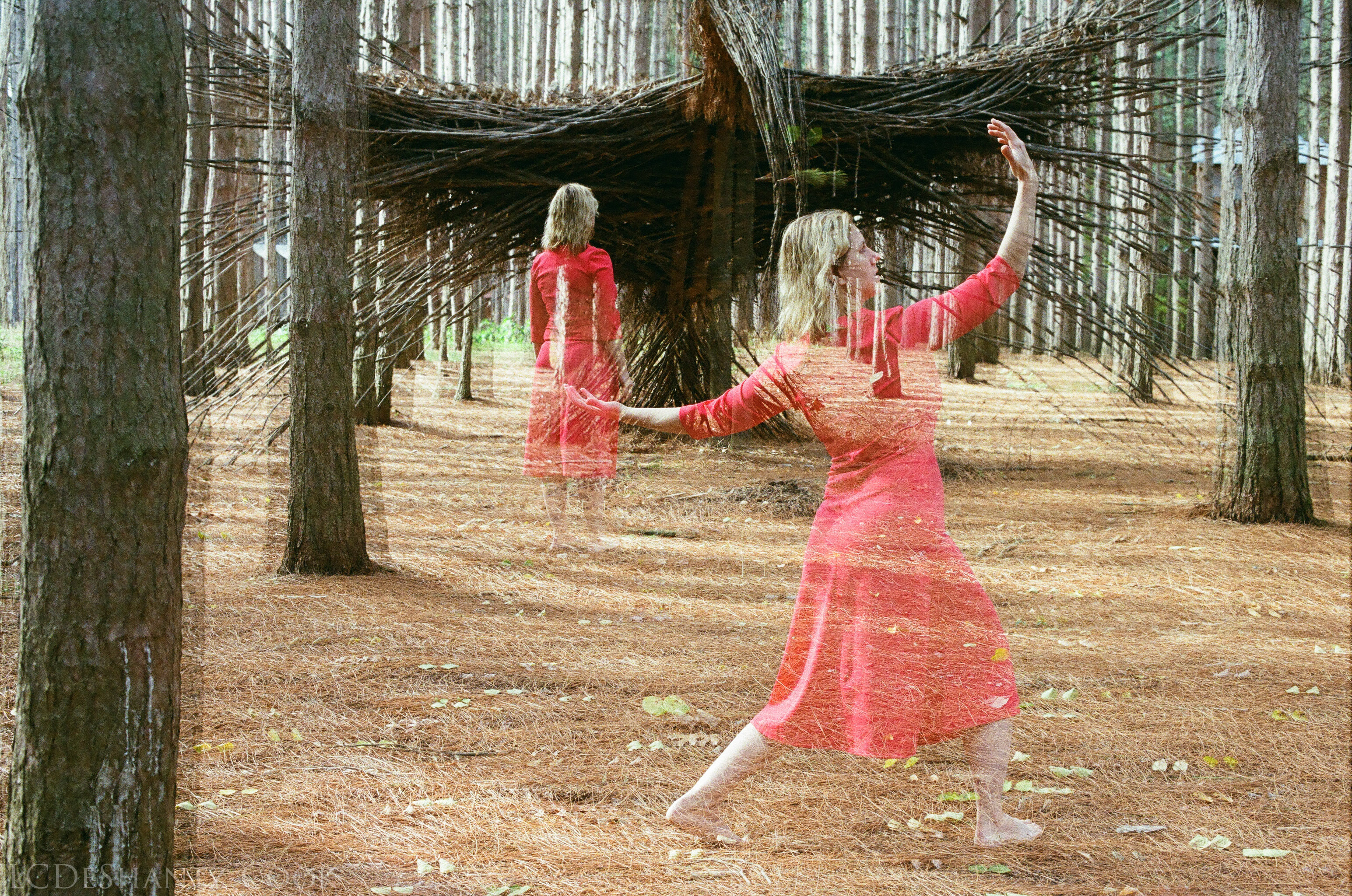 ldc_20161213_58810005