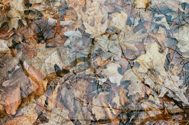 ldc_20161213_58810016