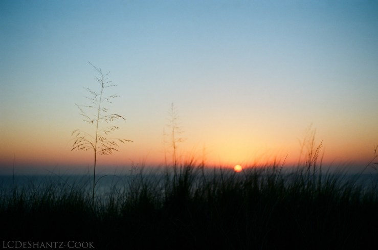 ldc_20161213_58820025