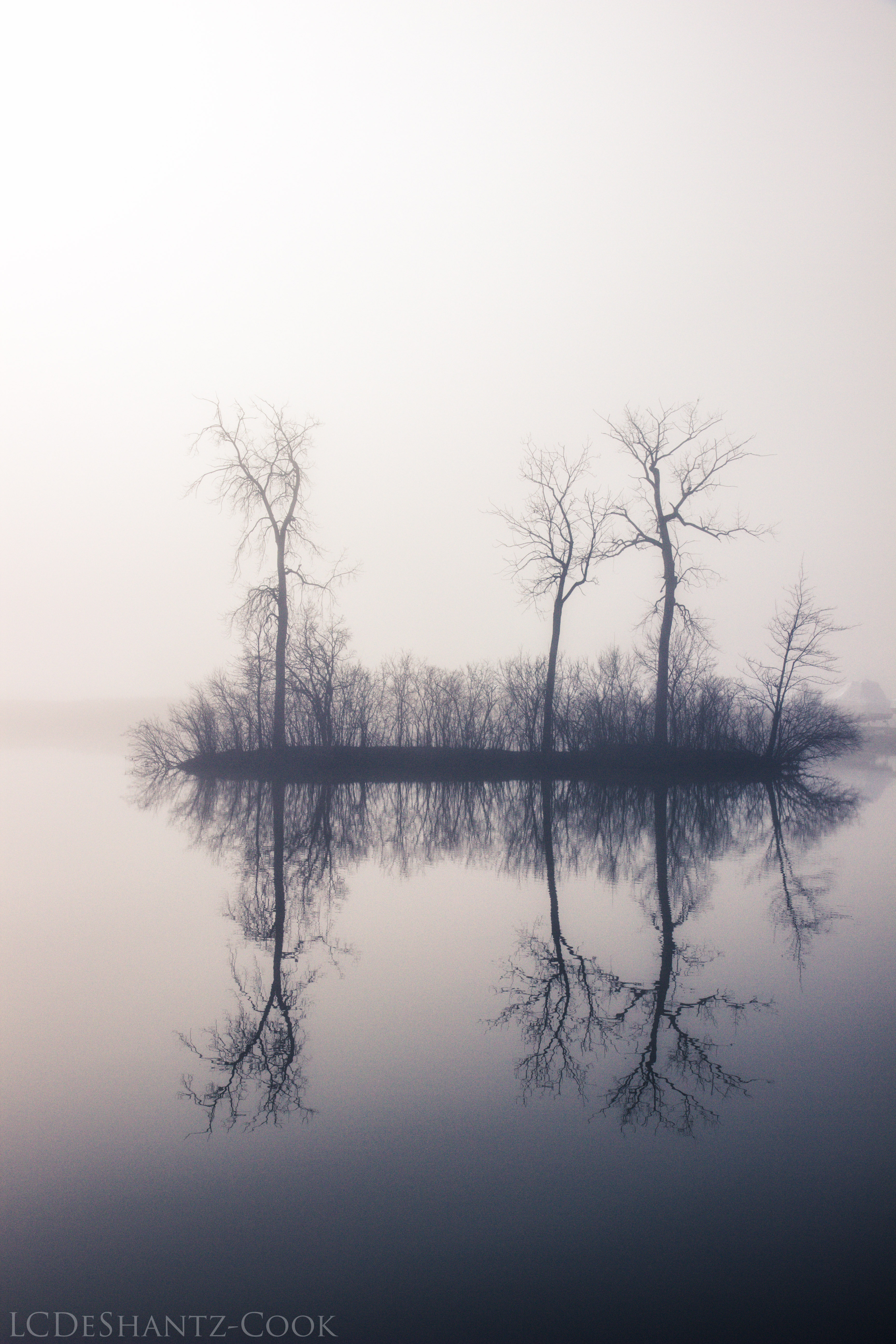 ldc_20170122_img_4706