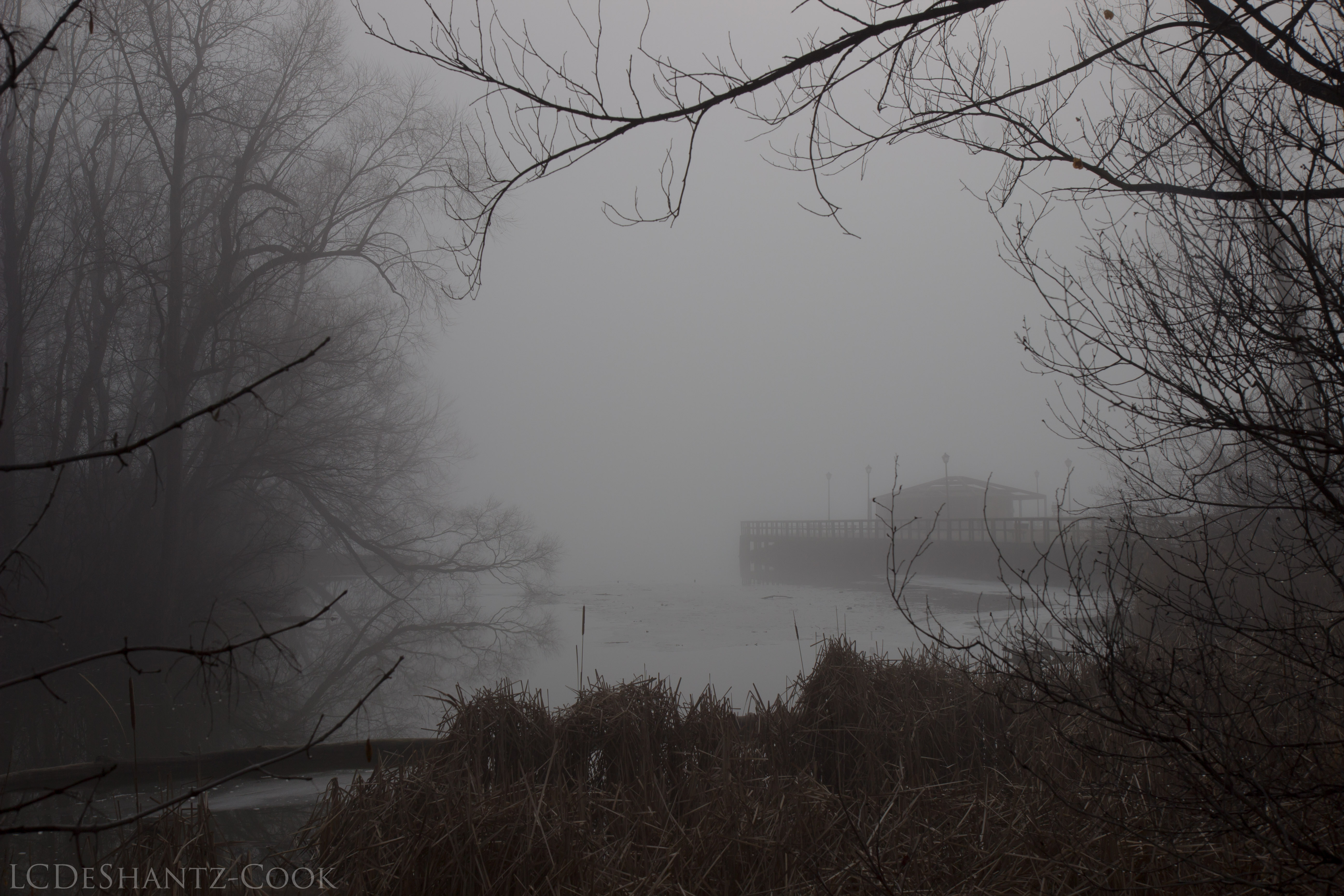 ldc_20170122_img_4708