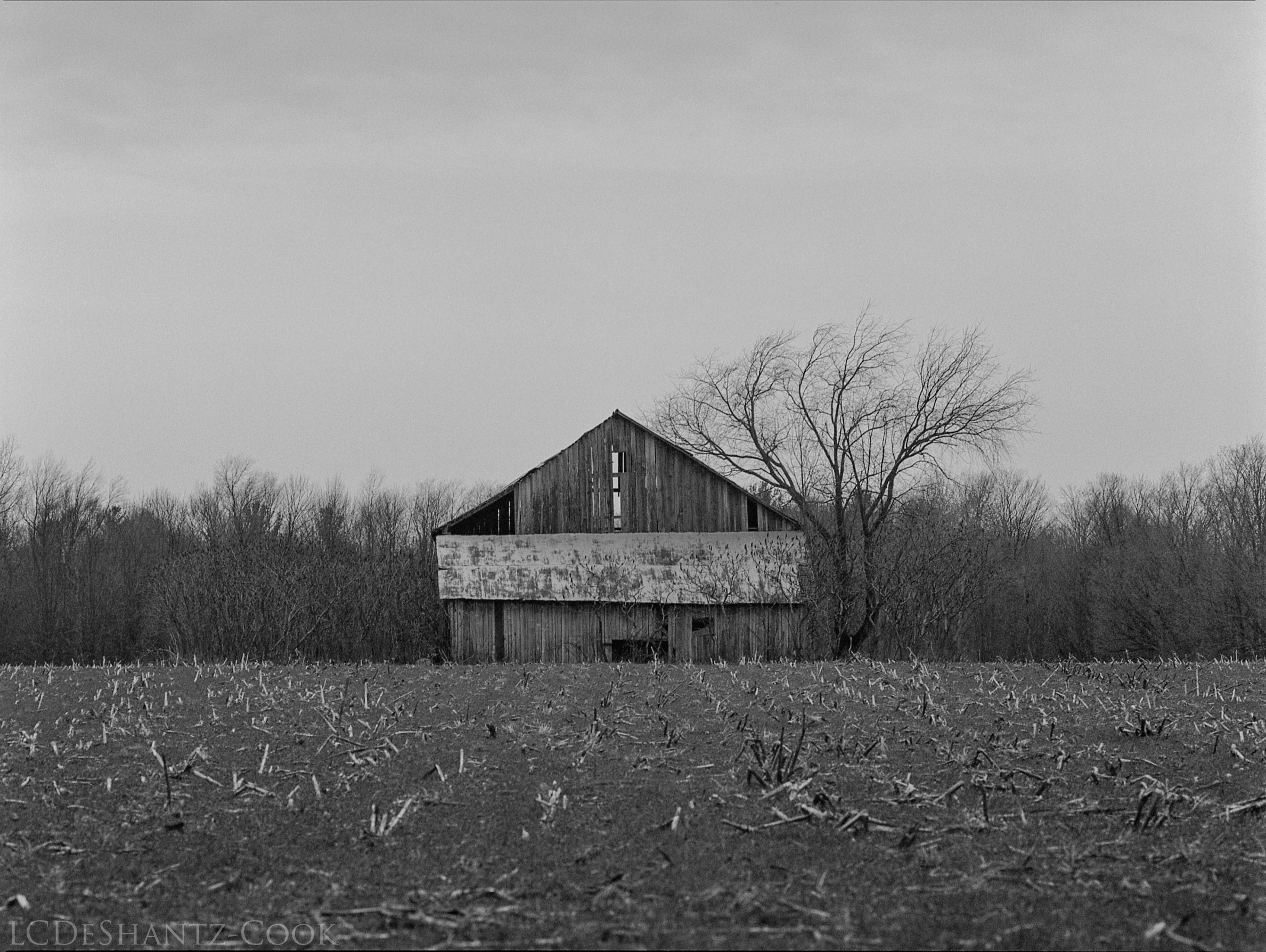 barn and field