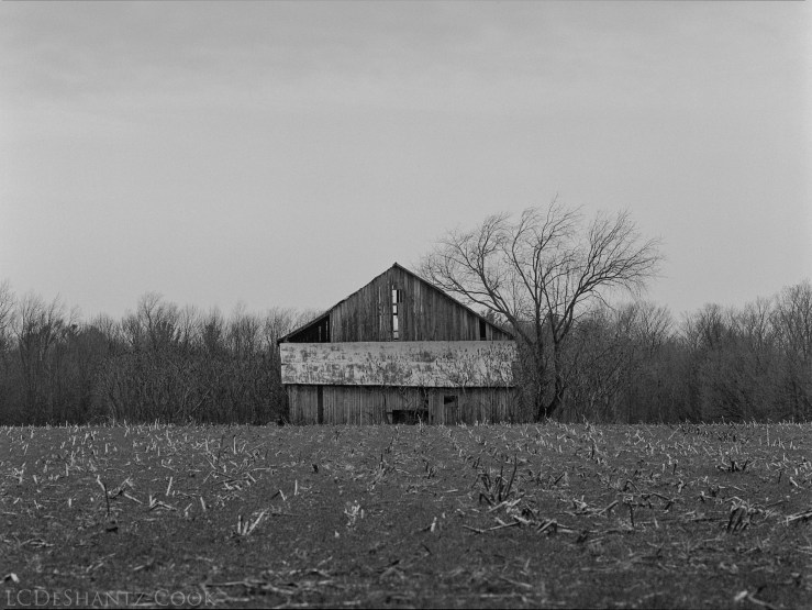 barn and field