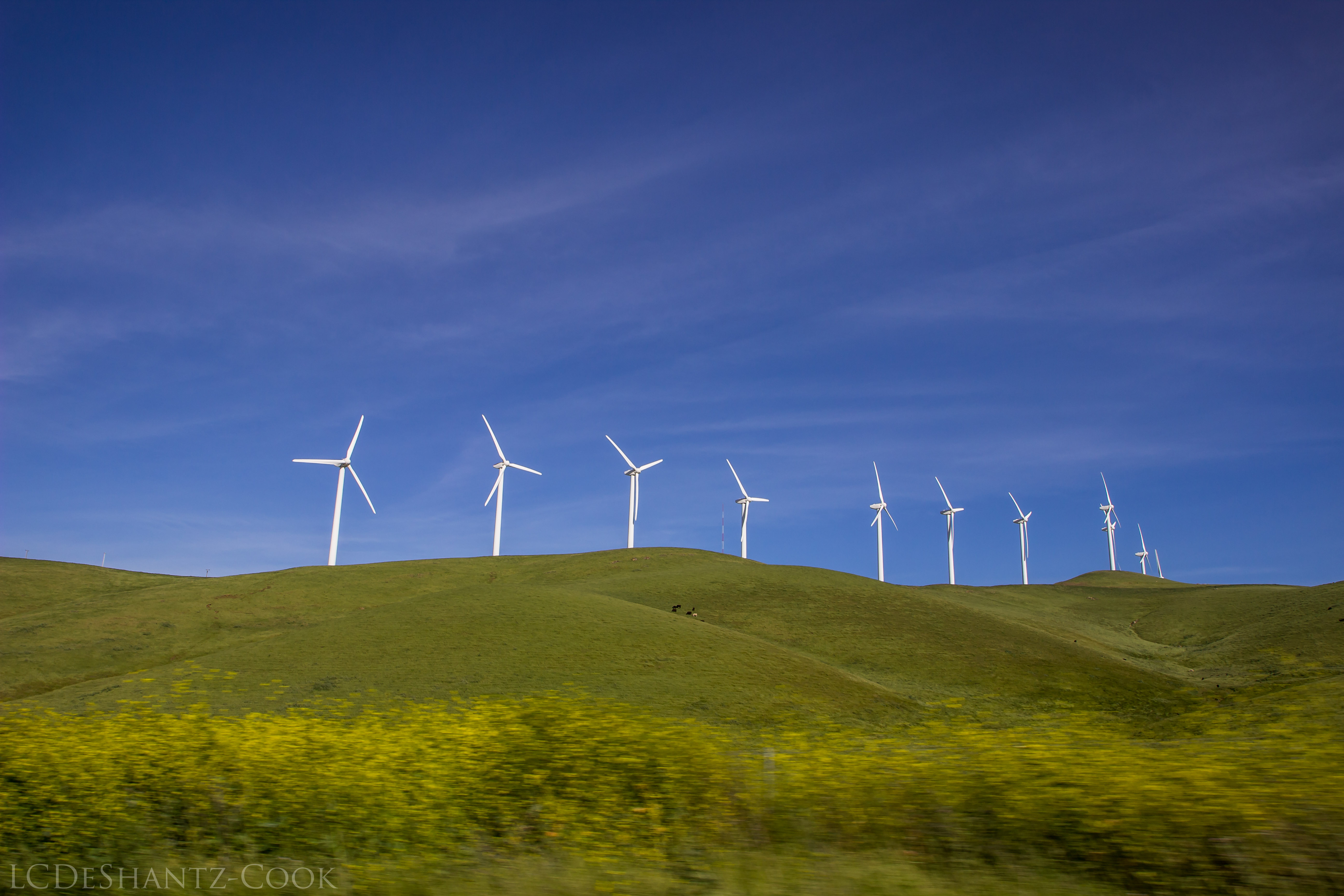 LDC_20170423_IMG_5391