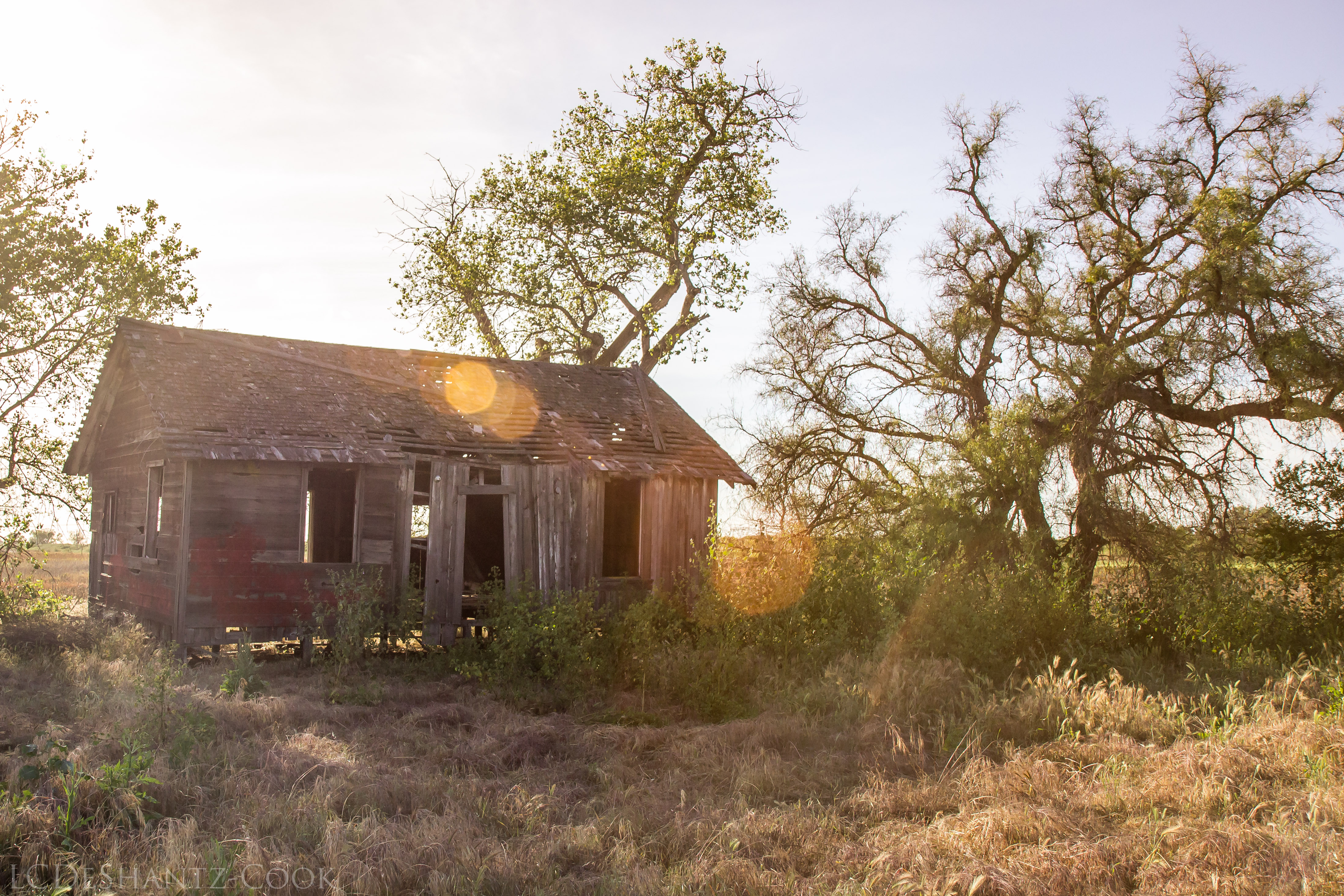 LDC_20170423_IMG_5433