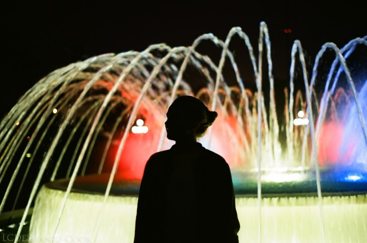 LDC_20170524_31550028