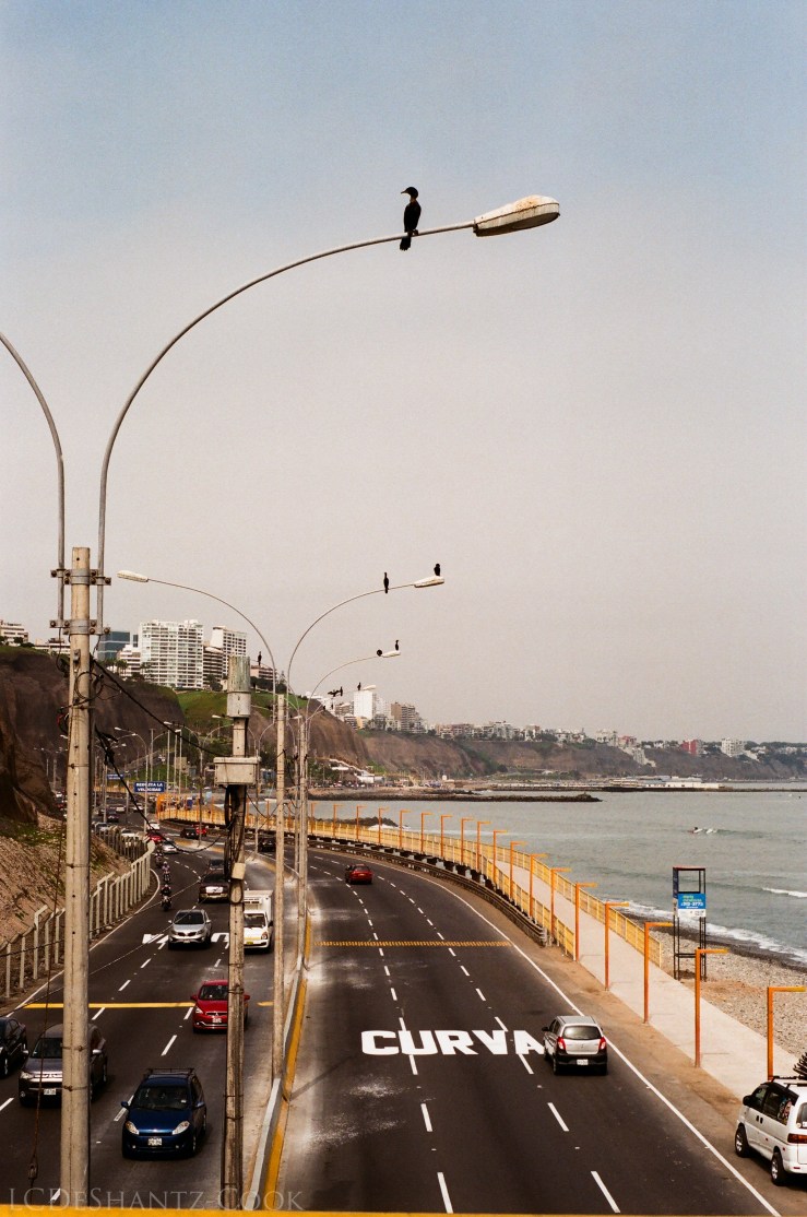 LDC_20170524_31600002