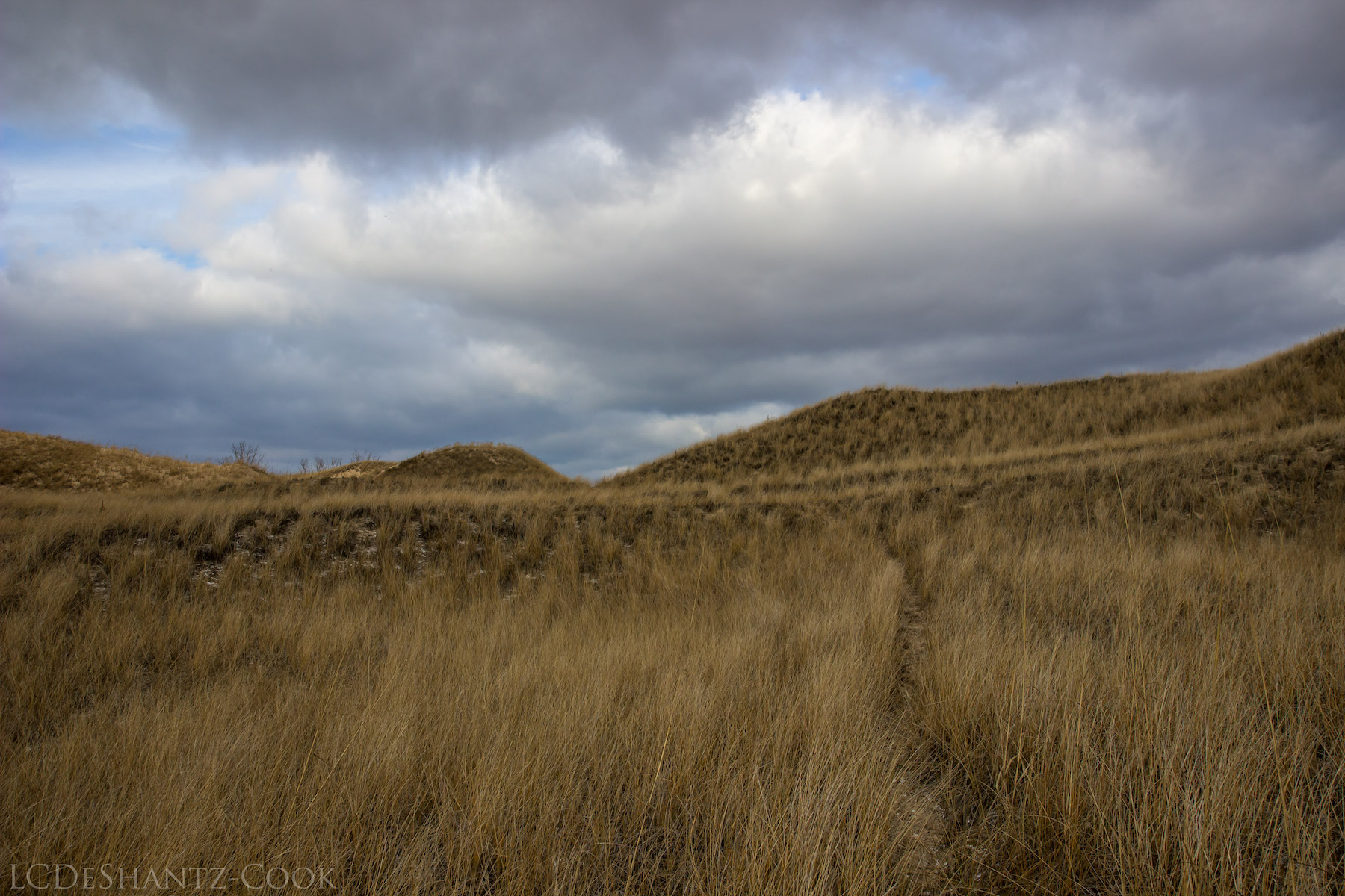 LDC_20161210_IMG_4564