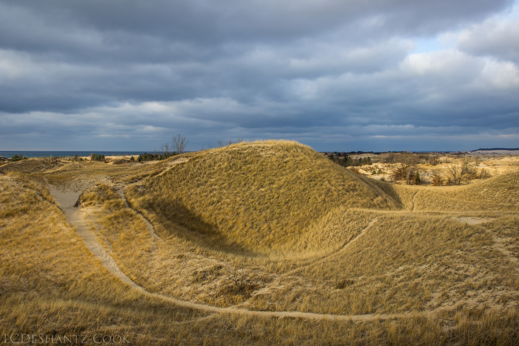 LDC_20161210_IMG_4574