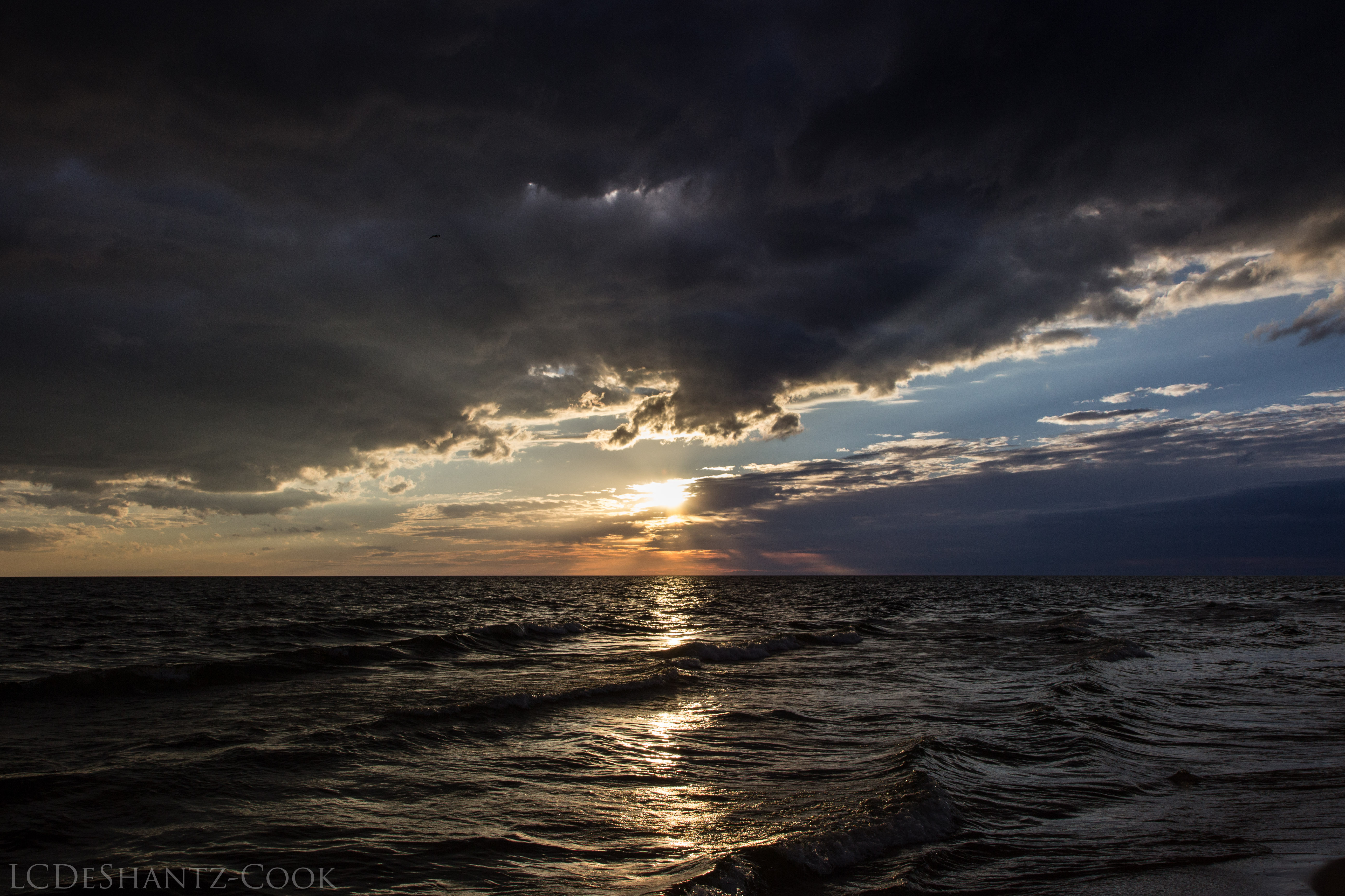 LDC_20170530_IMG_5767