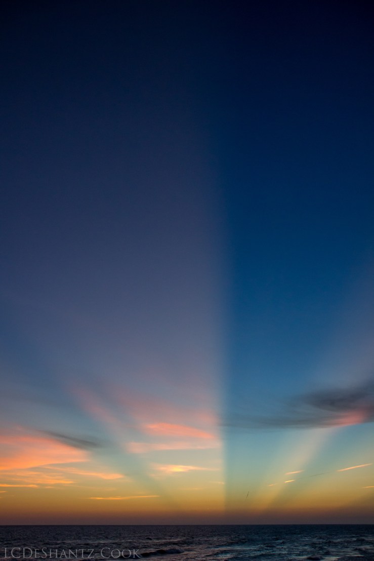 LDC_20170610_IMG_5982