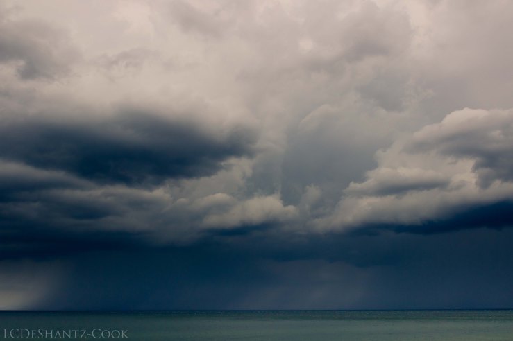 LDC_20170614_IMG_6125