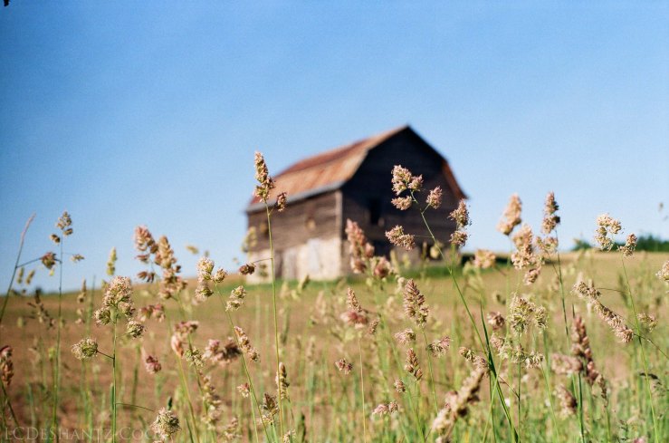 LDC_20170621_66290010