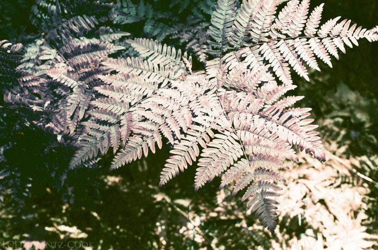 LDC_20170624_21430004