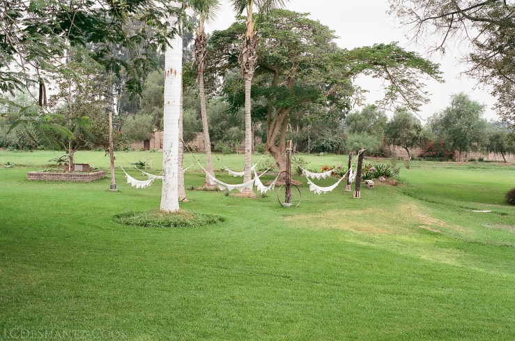 LDC_20170626_53900002