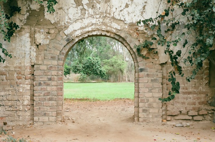 LDC_20170626_53900007