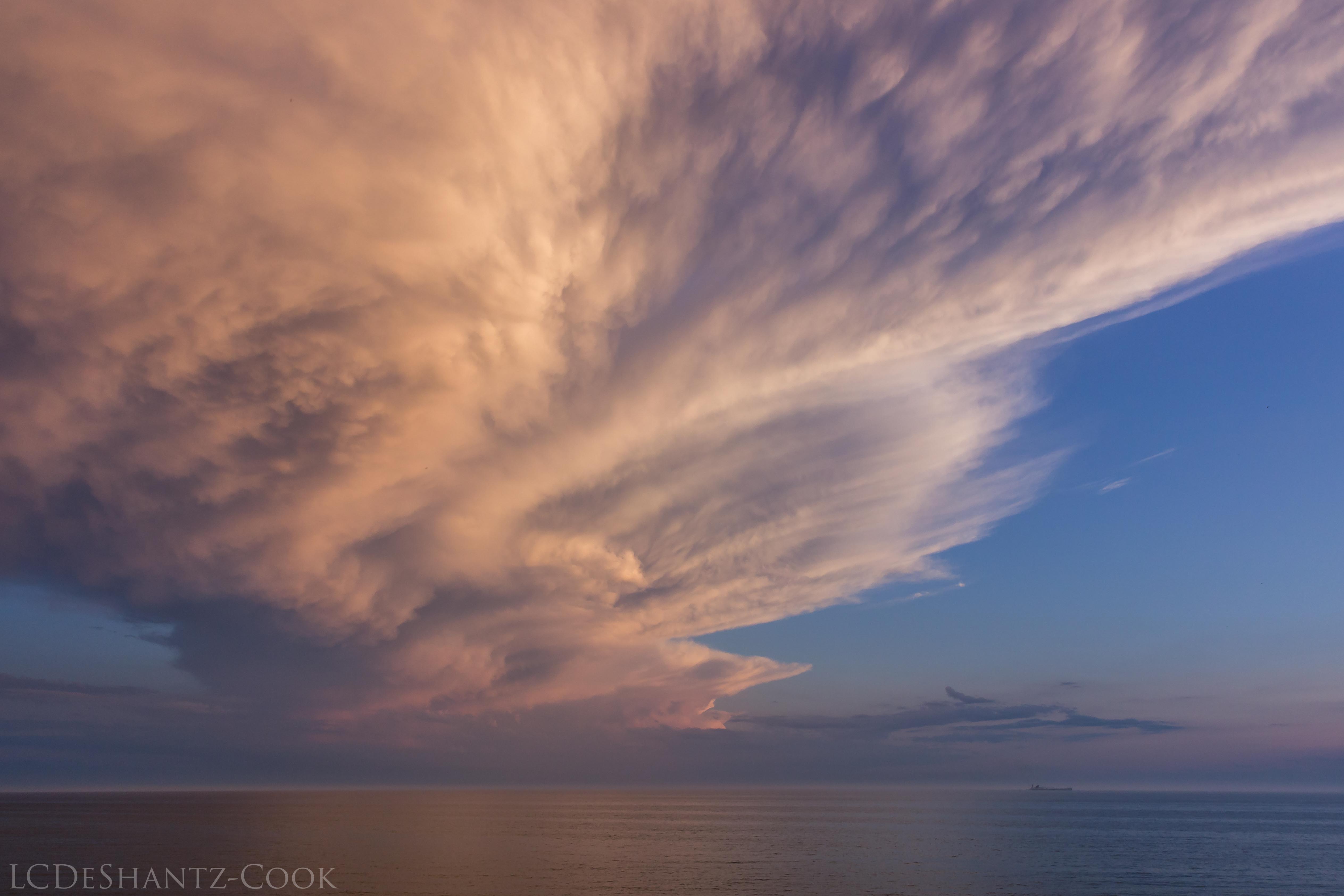 LDC_20170630_IMG_6423